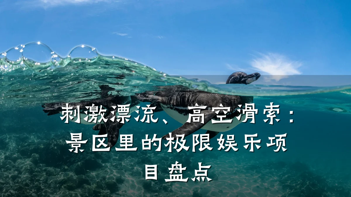 刺激漂流、高空滑索：景区里的极限娱乐项目盘点