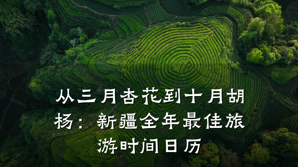 从三月杏花到十月胡杨:新疆全年最佳旅游时间日历