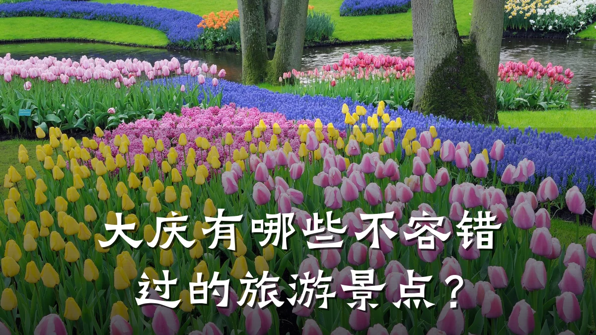 大庆有哪些不容错过的旅游景点?
