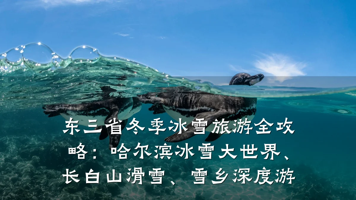 东三省冬季冰雪旅游全攻略:哈尔滨冰雪大世界、长白山滑雪、雪乡深度游