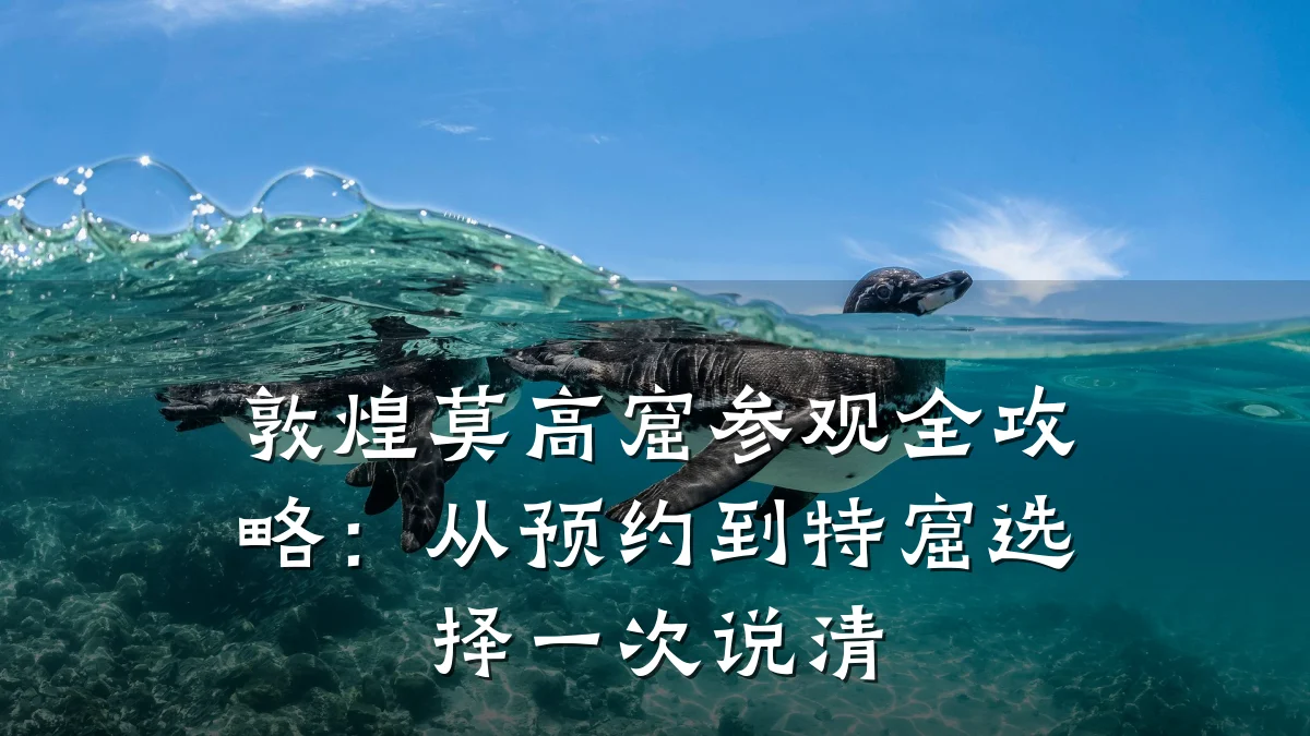 敦煌莫高窟参观全攻略:从预约到特窟选择一次说清