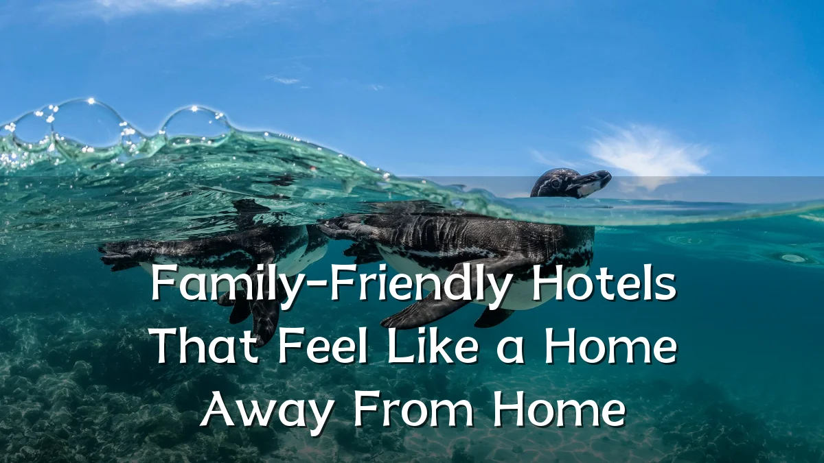 Family-Friendly Hotels That Feel Like a Home Away From Home