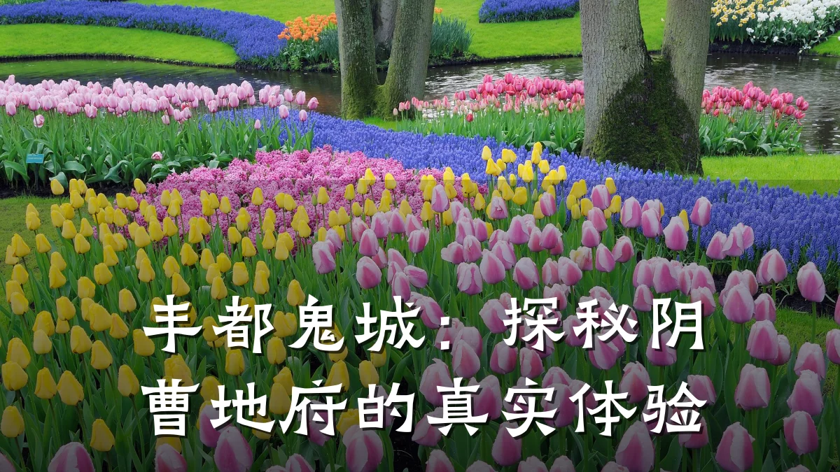 丰都鬼城:探秘阴曹地府的真实体验