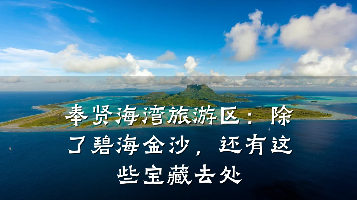 奉贤海湾旅游区:除了碧海金沙,还有这些宝藏去处