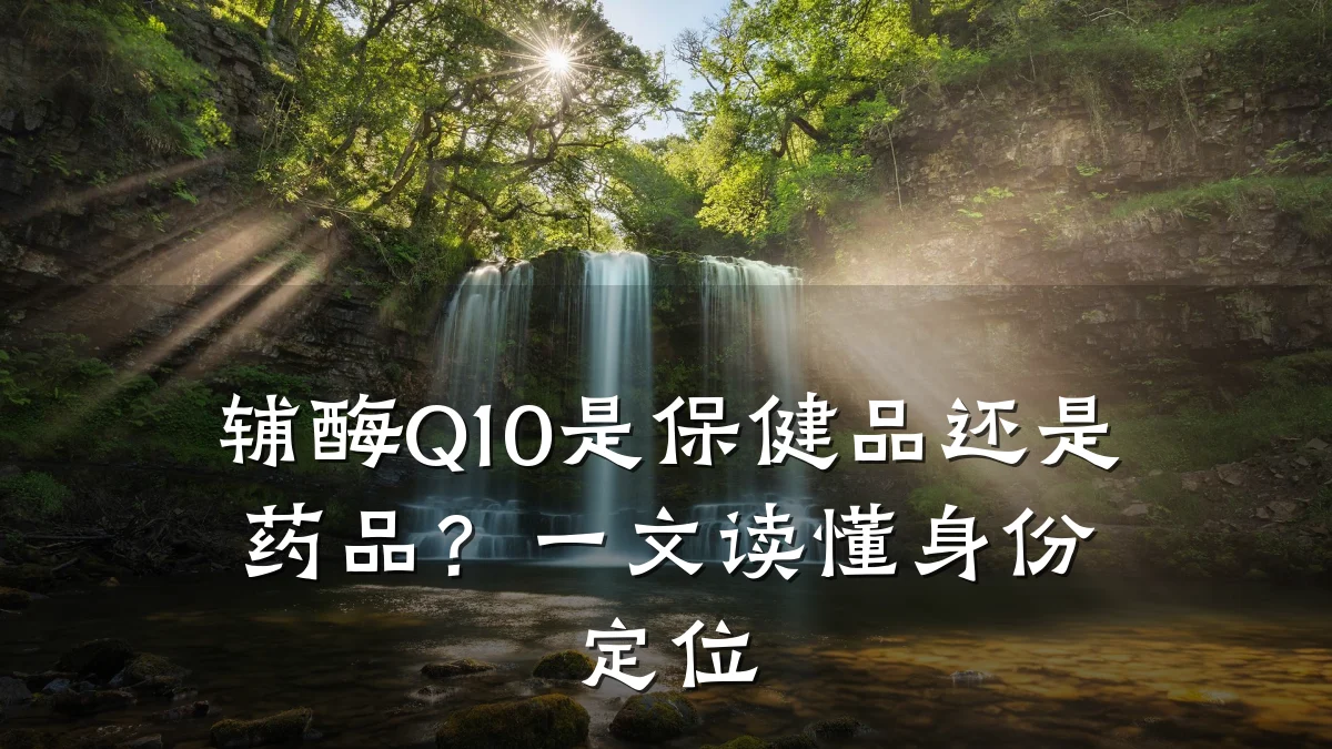 辅酶Q10是保健品还是药品?一文读懂身份定位