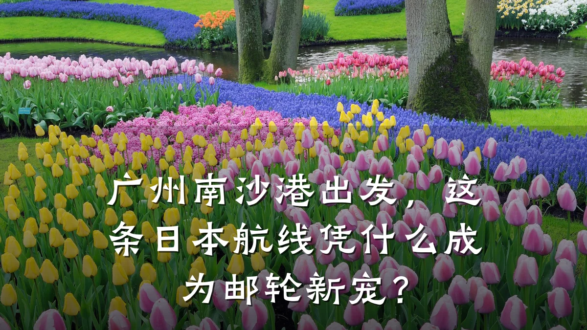 广州南沙港出发,这条日本航线凭什么成为邮轮新宠?