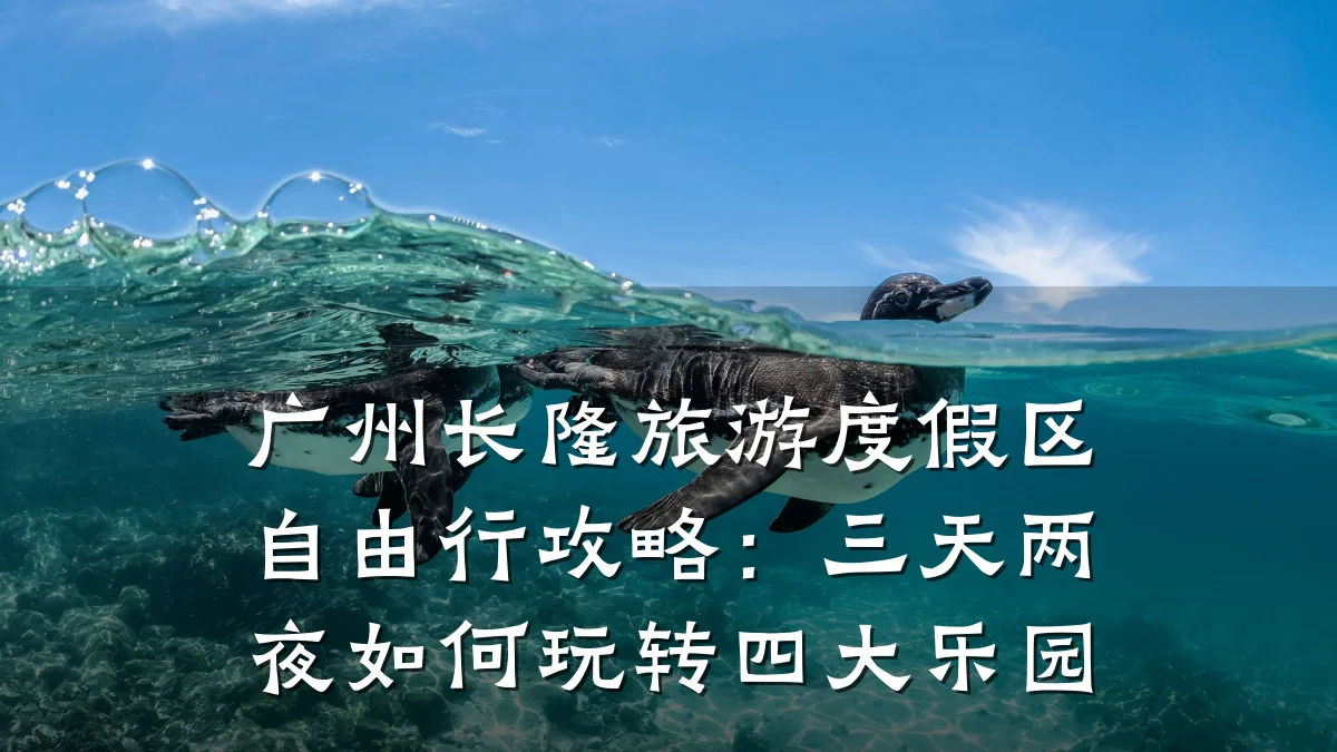 广州长隆旅游度假区自由行攻略:三天两夜如何玩转四大乐园