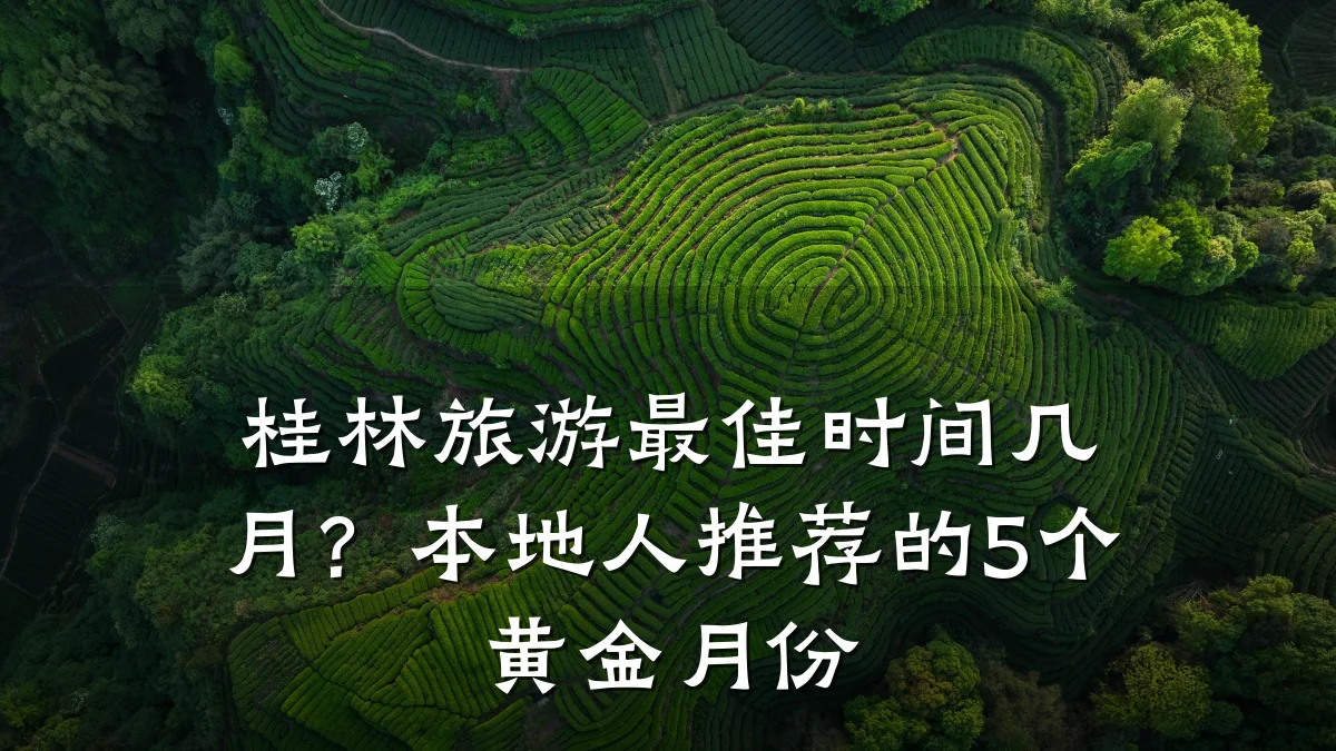 桂林旅游最佳时间几月？本地人推荐的5个黄金月份