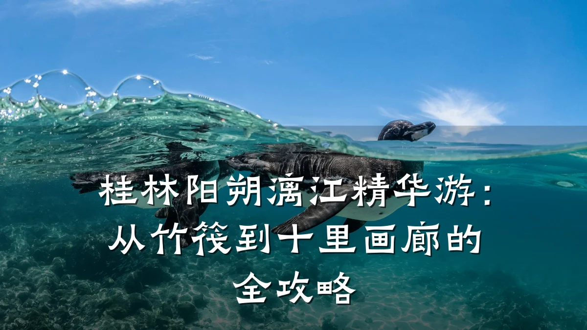 桂林阳朔漓江精华游:从竹筏到十里画廊的全攻略