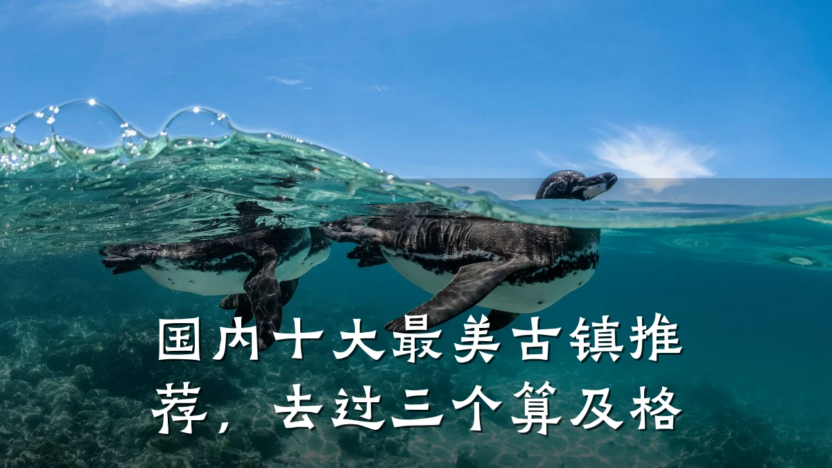 国内十大最美古镇推荐,去过三个算及格