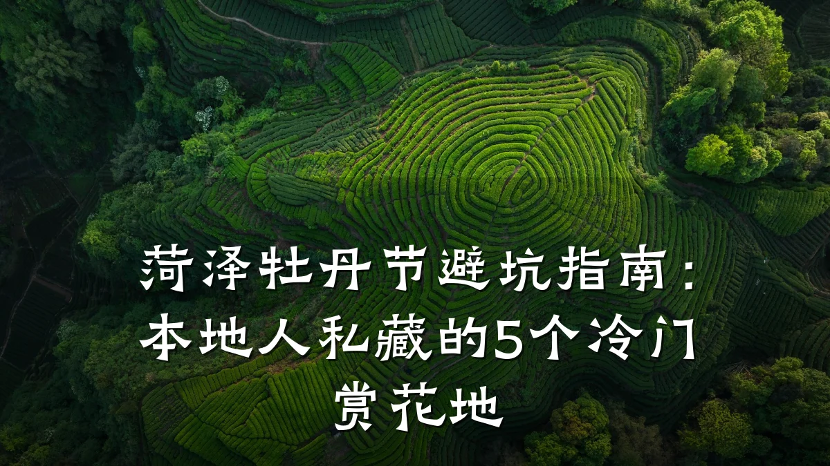 菏泽牡丹节避坑指南:本地人私藏的5个冷门赏花地