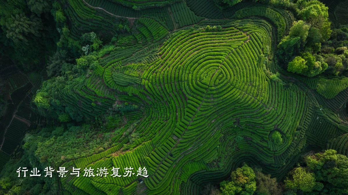 行业背景与旅游复苏趋