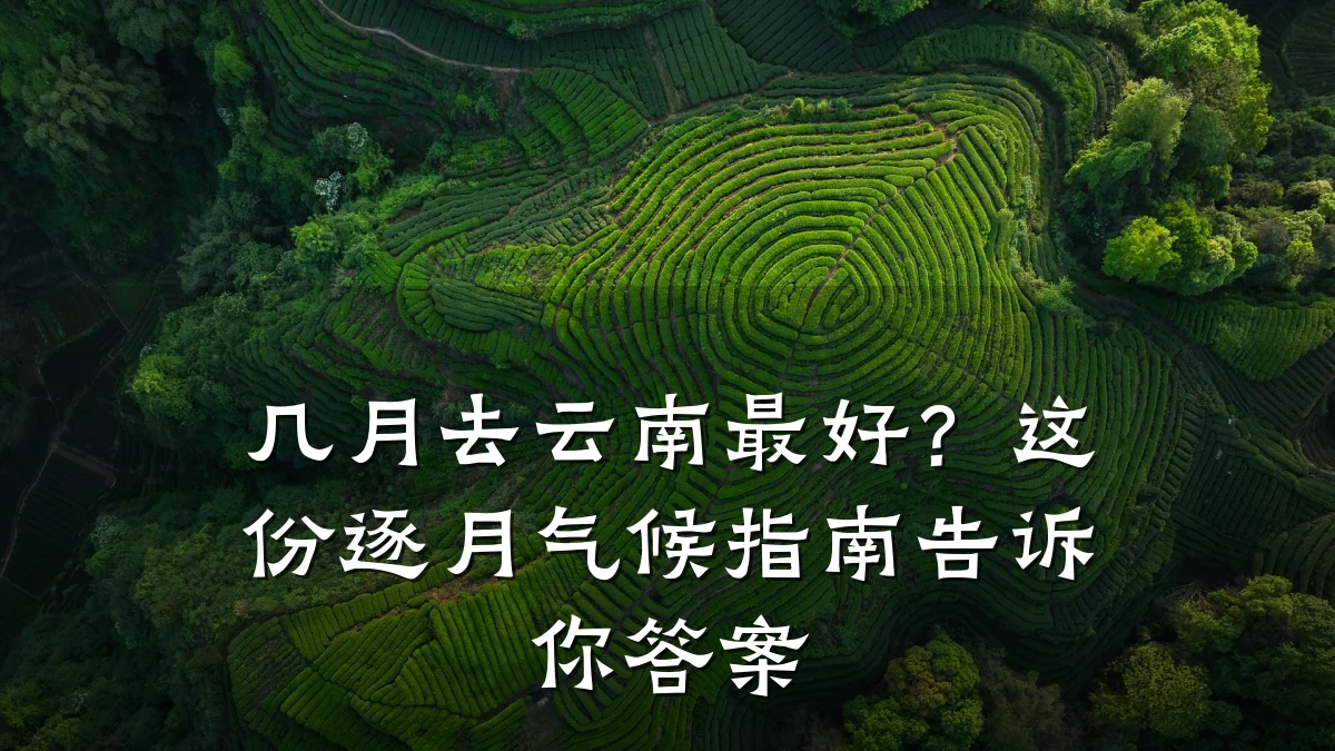 几月去云南最好?这份逐月气候指南告诉你答案