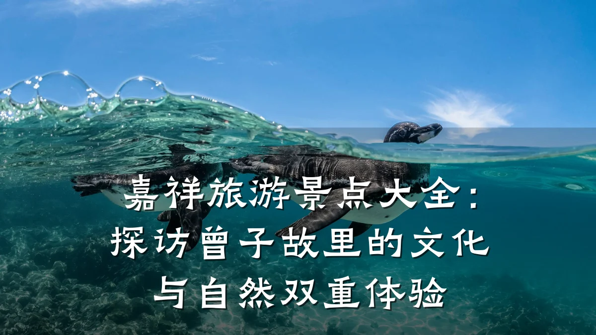 嘉祥旅游景点大全:探访曾子故里的文化与自然双重体验