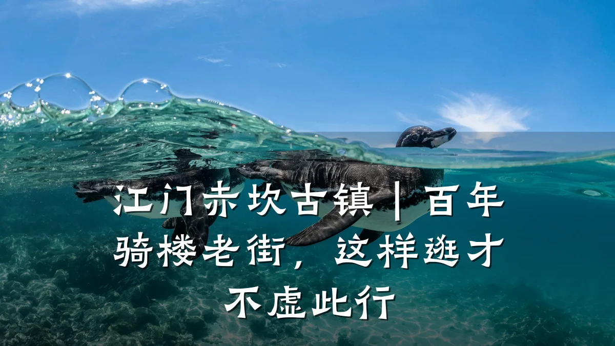 江门赤坎古镇|百年骑楼老街,这样逛才不虚此行