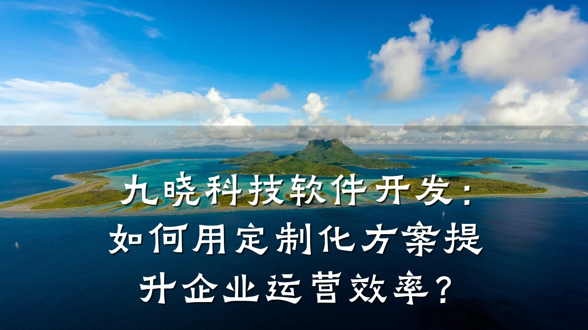 九晓科技软件开发:如何用定制化方案提升企业运营效率?