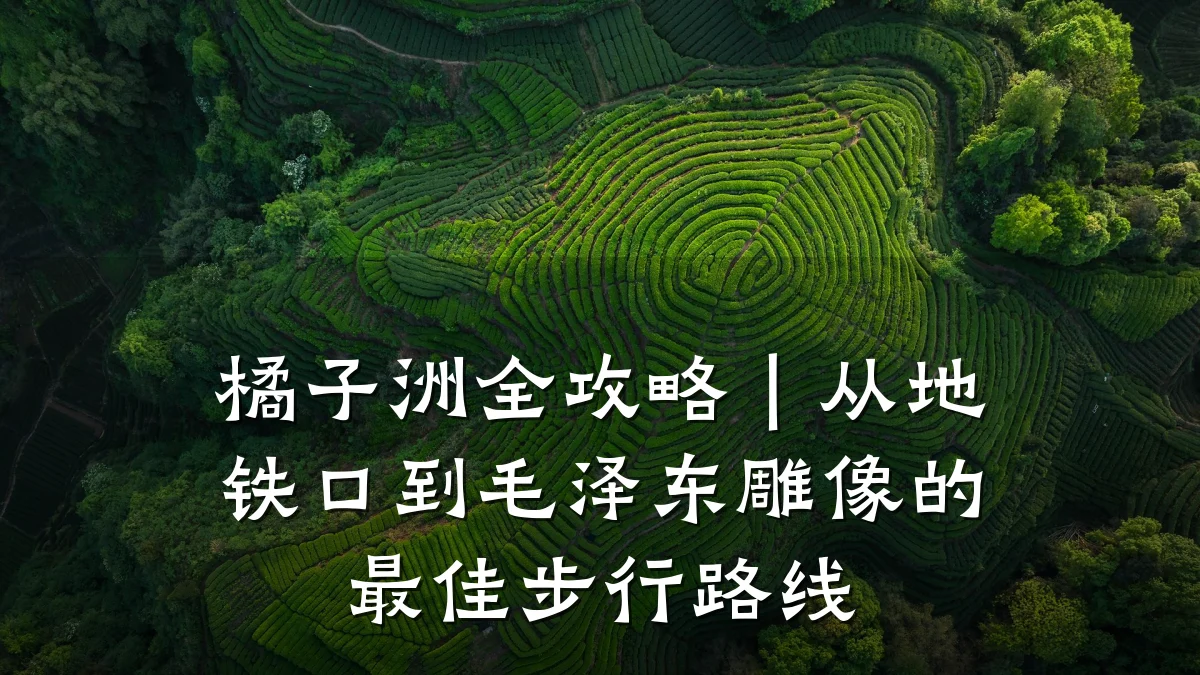 橘子洲全攻略|从地铁口到毛泽东雕像的最佳步行路线