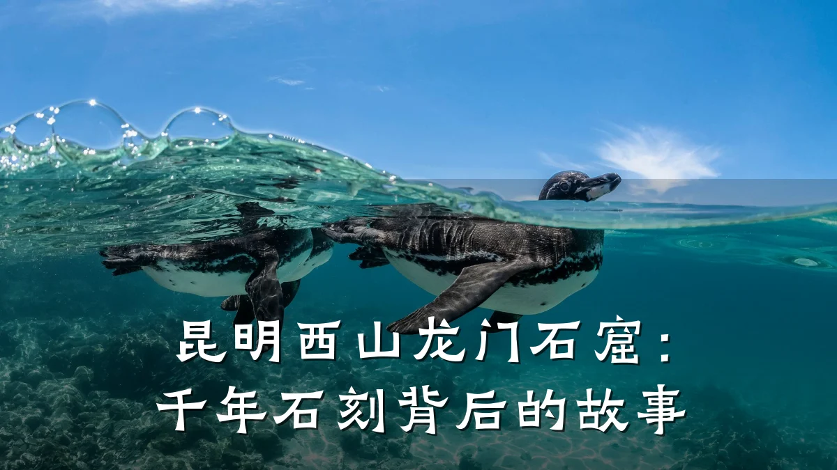 昆明西山龙门石窟:千年石刻背后的故事