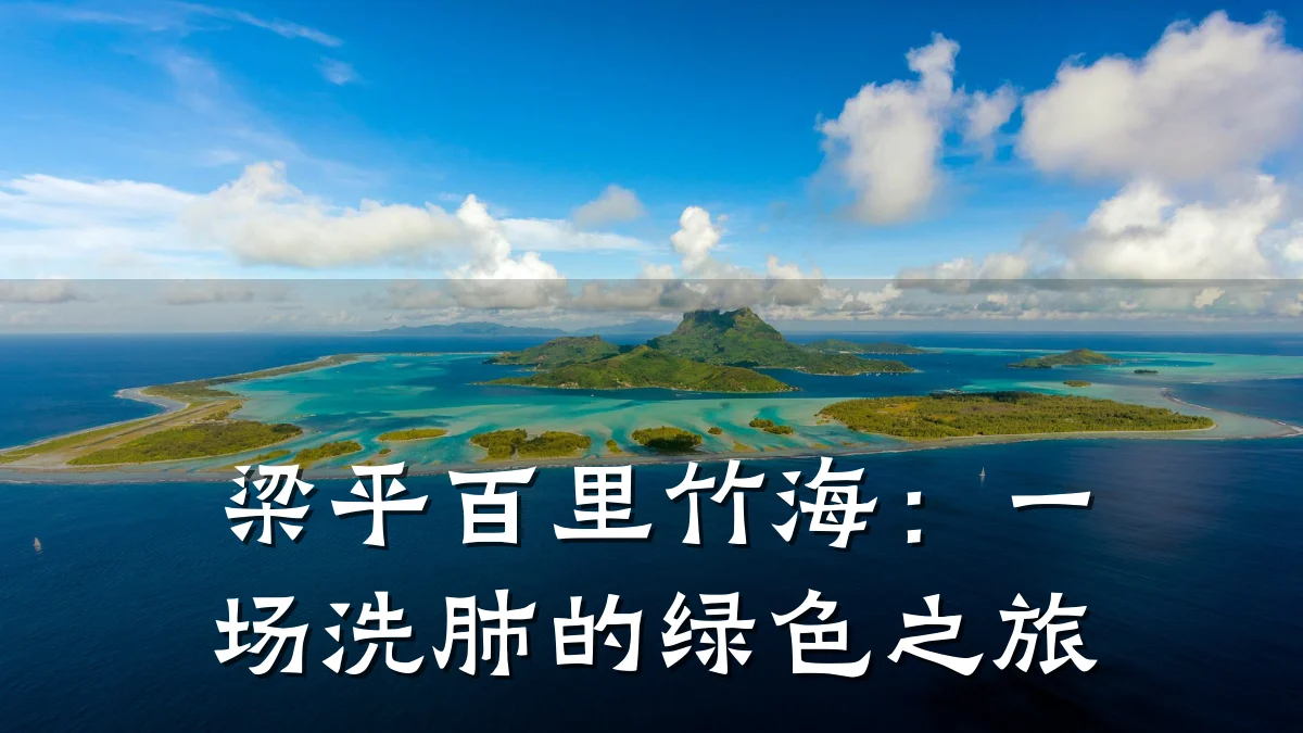 梁平百里竹海:一场洗肺的绿色之旅