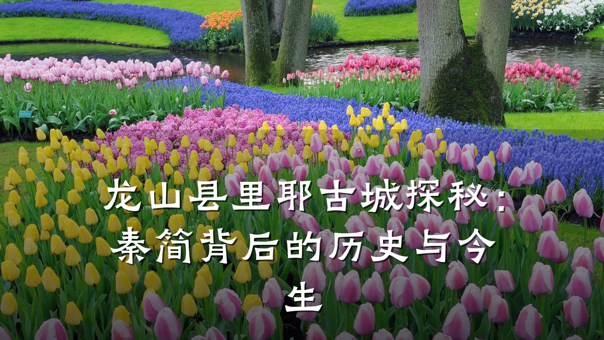 龙山县里耶古城探秘:秦简背后的历史与今生