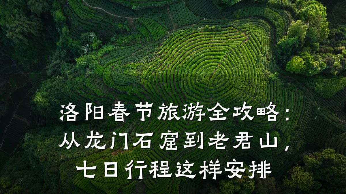 洛阳春节旅游全攻略:从龙门石窟到老君山,七日行程这样安排