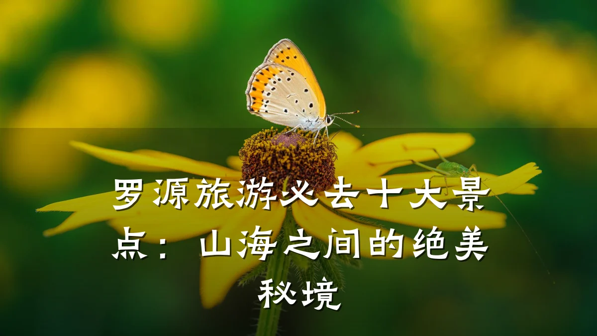 罗源旅游必去十大景点:山海之间的绝美秘境