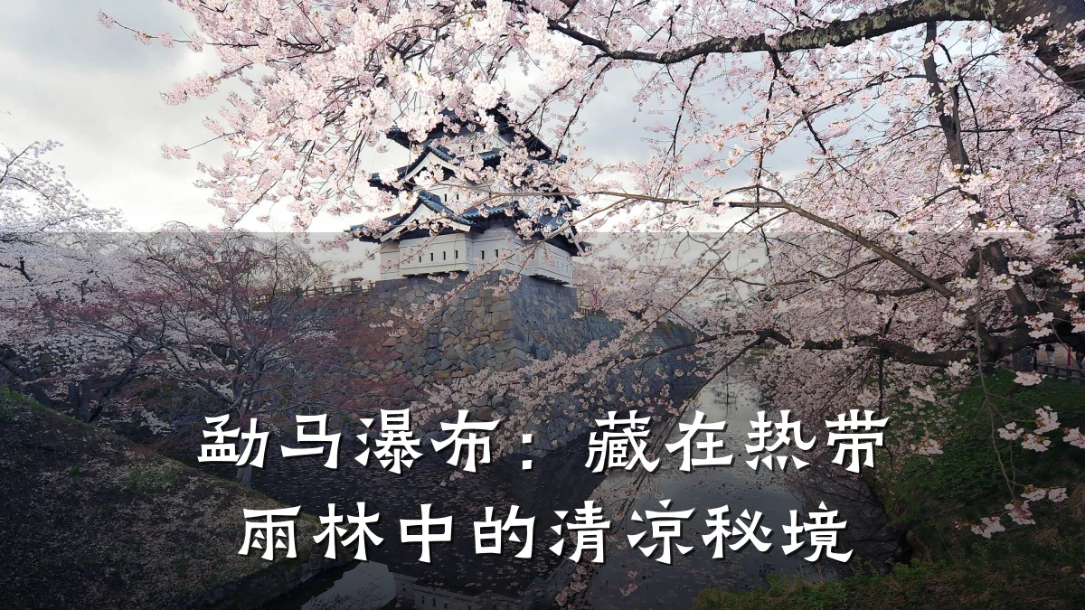 勐马瀑布:藏在热带雨林中的清凉秘境