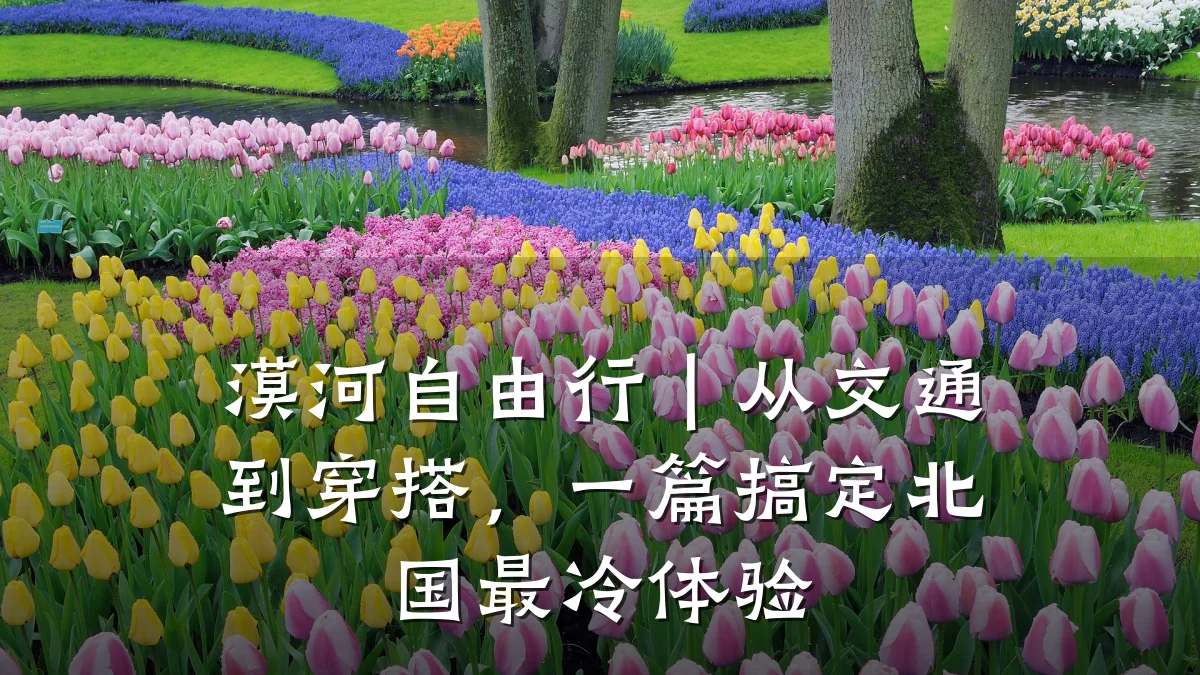 漠河自由行|从交通到穿搭,一篇搞定北国最冷体验