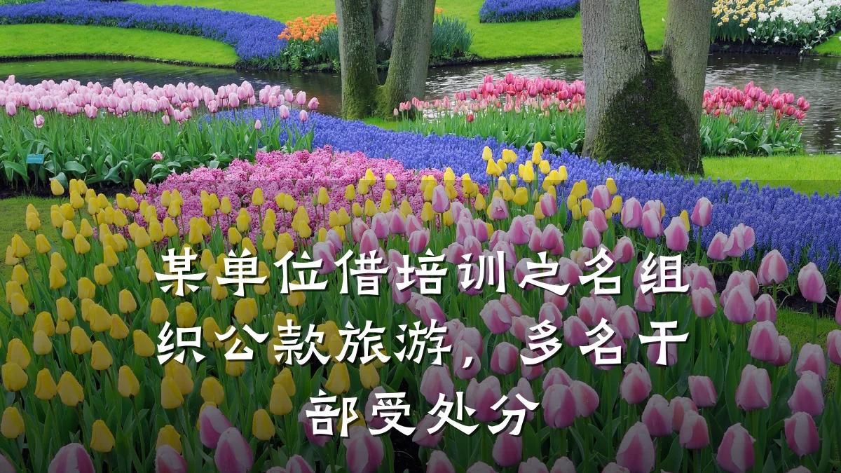 某单位借培训之名组织公款旅游,多名干部受处分