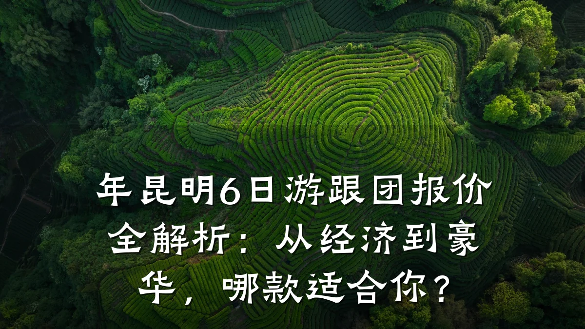 年昆明6日游跟团报价全解析:从经济到豪华,哪款适合你?