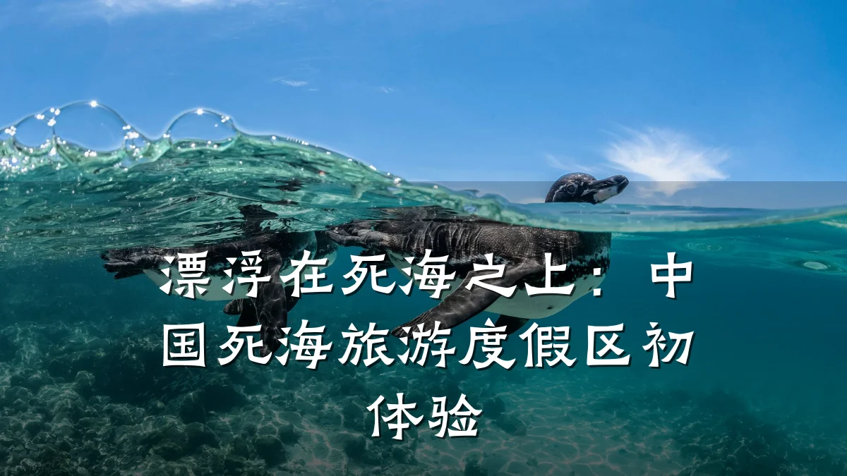 漂浮在死海之上:中国死海旅游度假区初体验