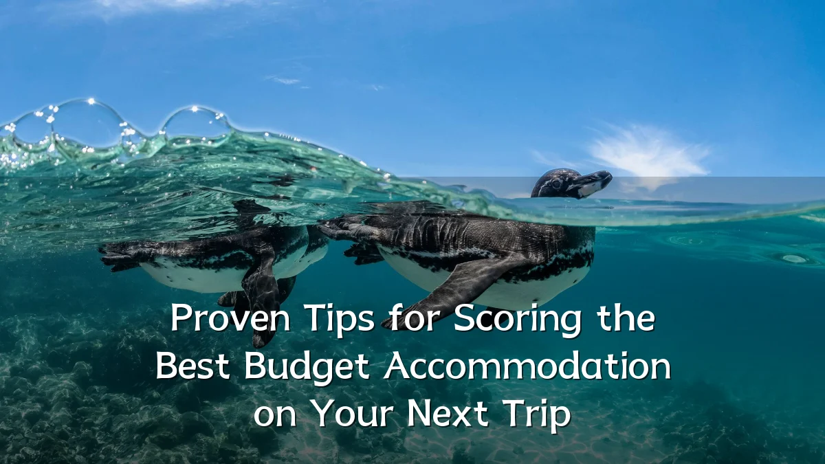 Proven Tips for Scoring the Best Budget Accommodation on Your Next Trip