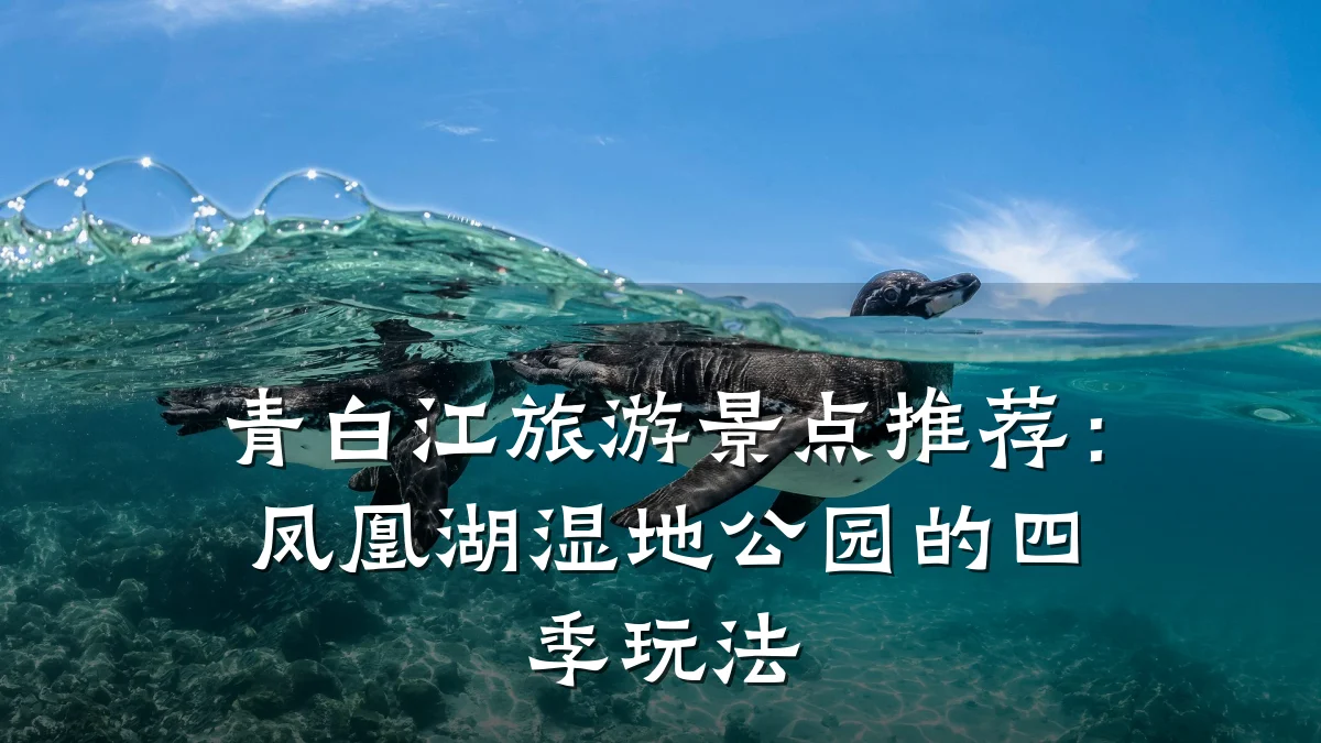 青白江旅游景点推荐:凤凰湖湿地公园的四季玩法