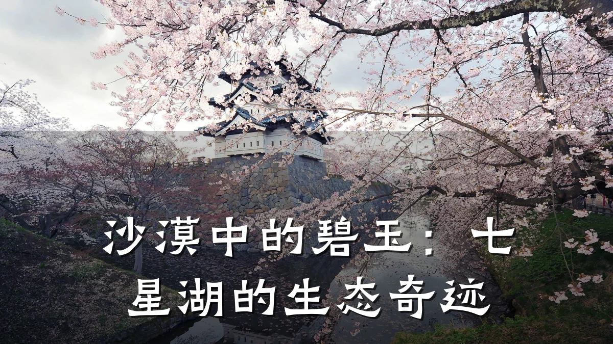 沙漠中的碧玉：七星湖的生态奇迹