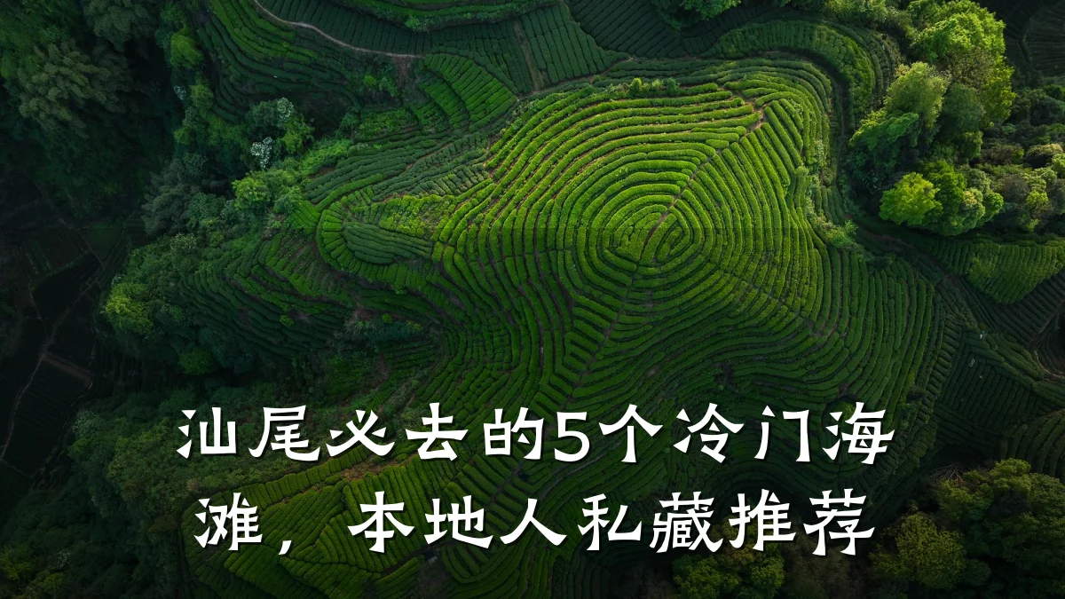 汕尾必去的5个冷门海滩,本地人私藏推荐