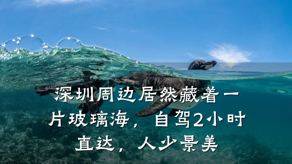 深圳周边居然藏着一片玻璃海，自驾2小时直达，人少景美