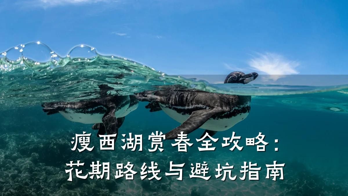 瘦西湖赏春全攻略：花期路线与避坑指南