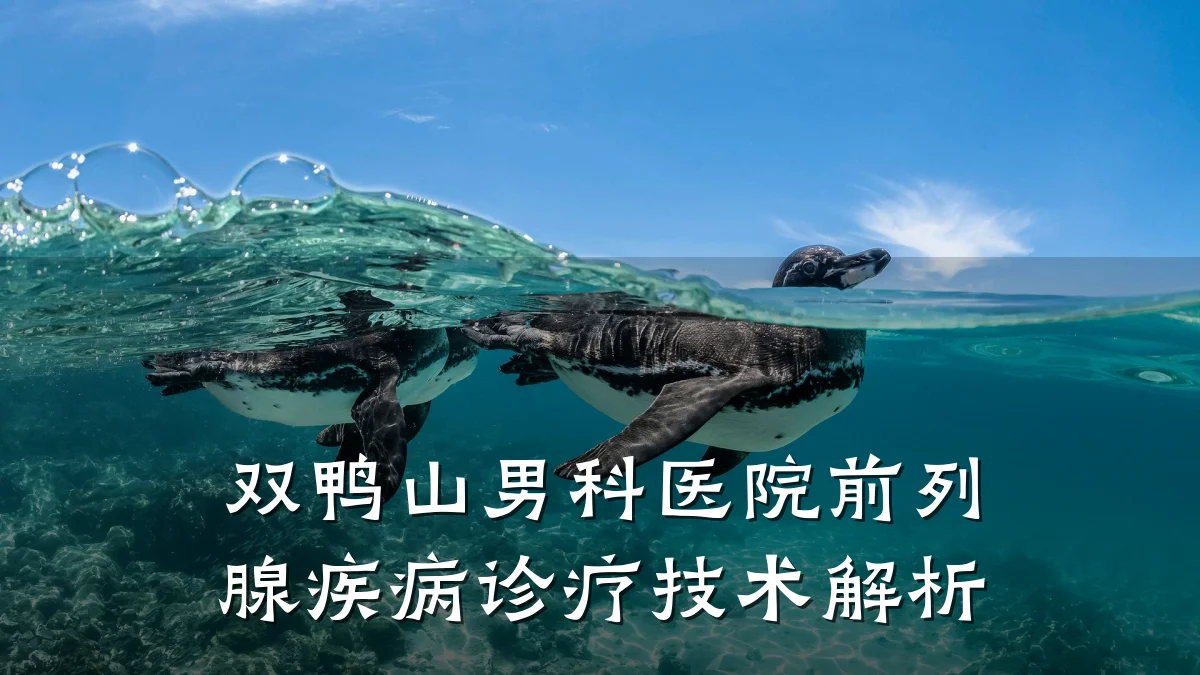 双鸭山男科医院前列腺疾病诊疗技术解析