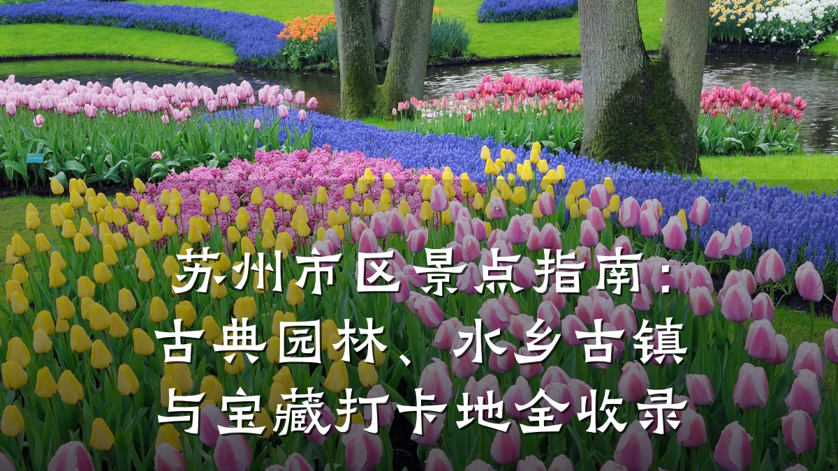 苏州市区景点指南：古典园林、水乡古镇与宝藏打卡地全收录