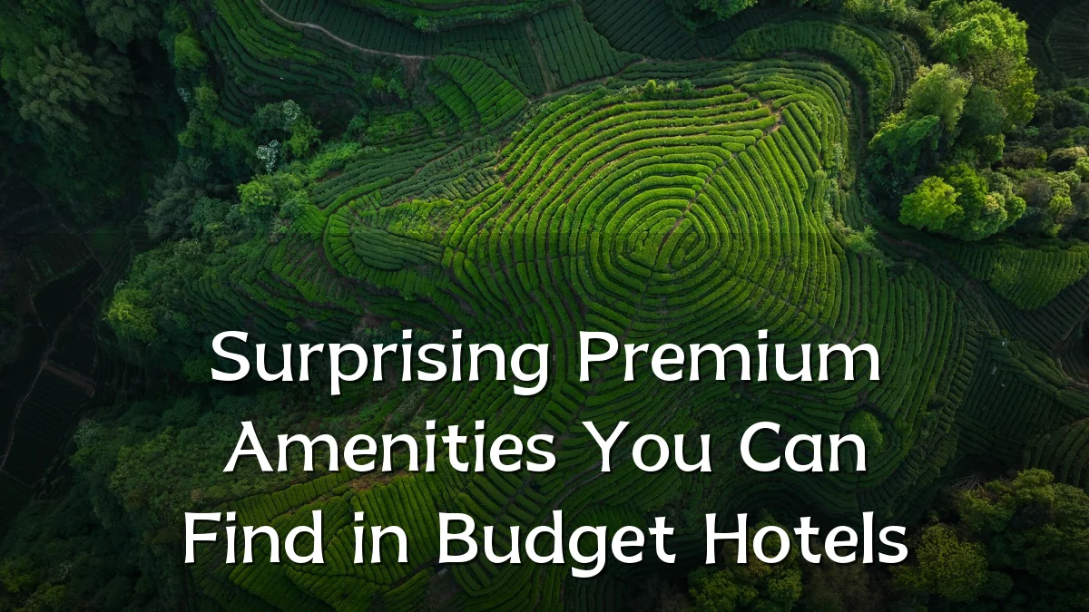 Surprising Premium Amenities You Can Find in Budget Hotels
