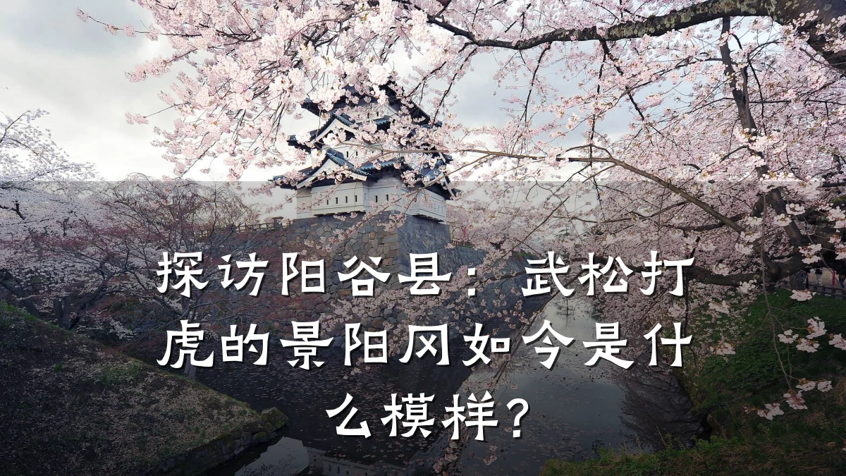 探访阳谷县:武松打虎的景阳冈如今是什么模样?
