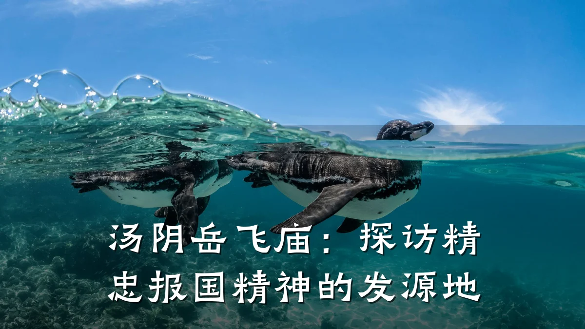 汤阴岳飞庙:探访精忠报国精神的发源地