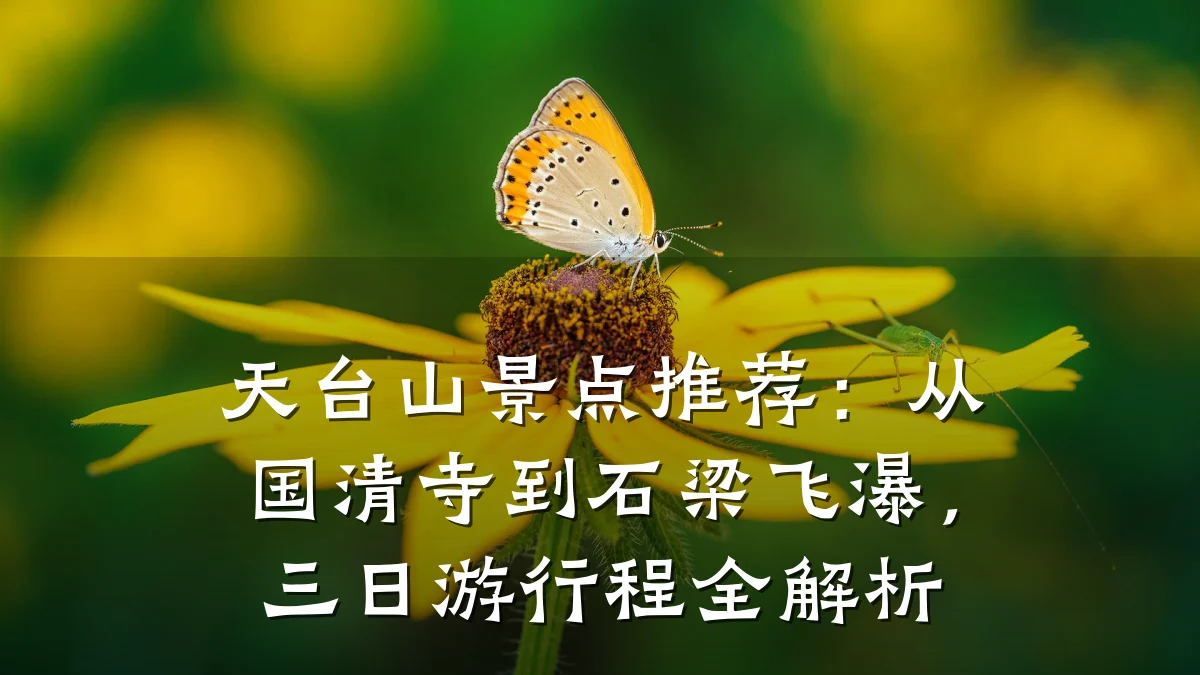 天台山景点推荐：从国清寺到石梁飞瀑，三日游行程全解析
