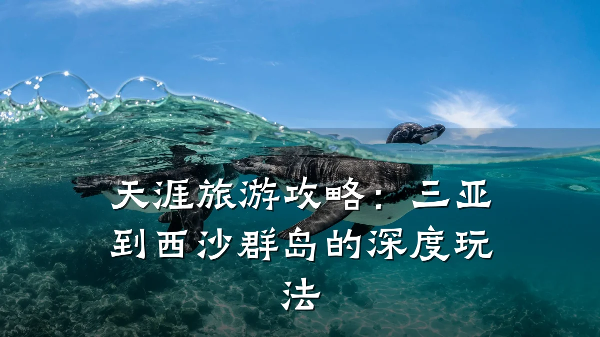 天涯旅游攻略：三亚到西沙群岛的深度玩法