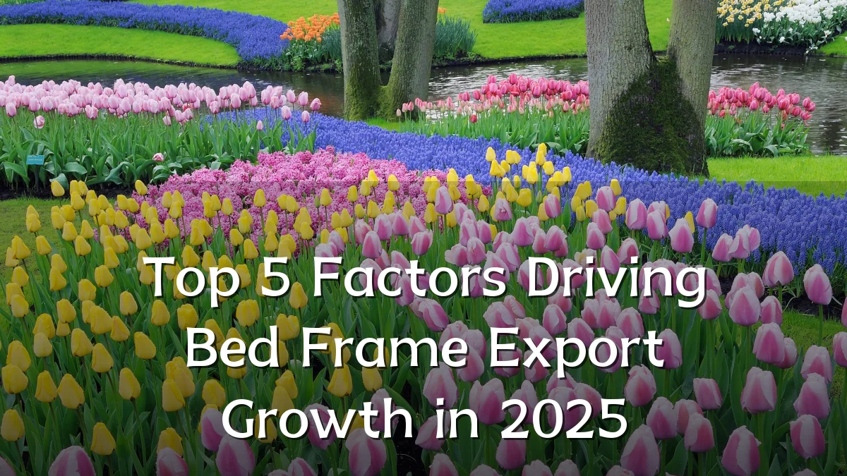 Top 5 Factors Driving Bed Frame Export Growth in 2025