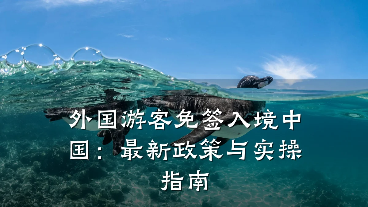 外国游客免签入境中国：最新政策与实操指南