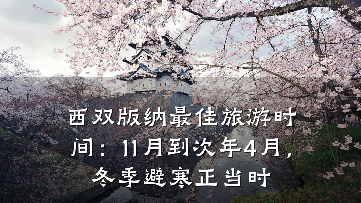 西双版纳最佳旅游时间：11月到次年4月，冬季避寒正当时