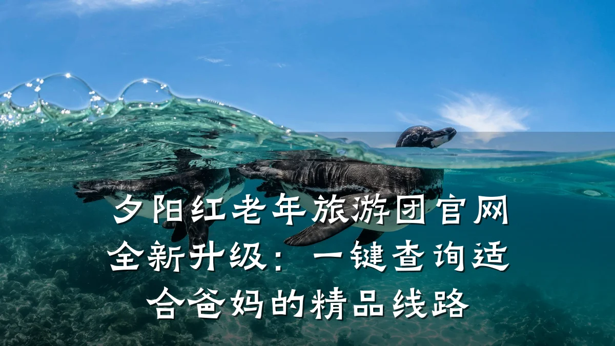 夕阳红老年旅游团官网全新升级：一键查询适合爸妈的精品线路