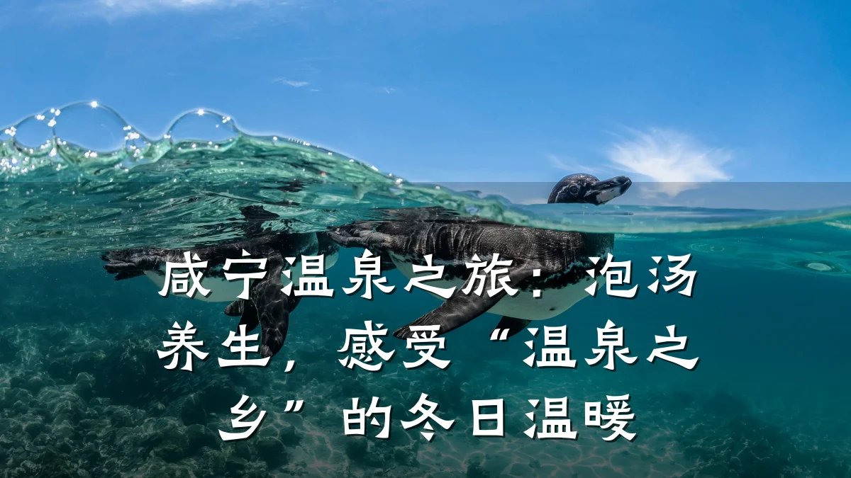 咸宁温泉之旅：泡汤养生，感受“温泉之乡”的冬日温暖