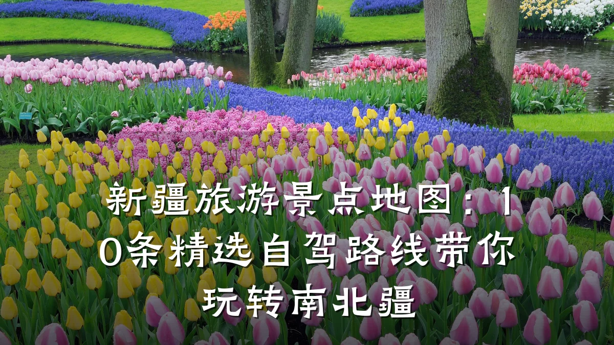 新疆旅游景点地图:10条精选自驾路线带你玩转南北疆